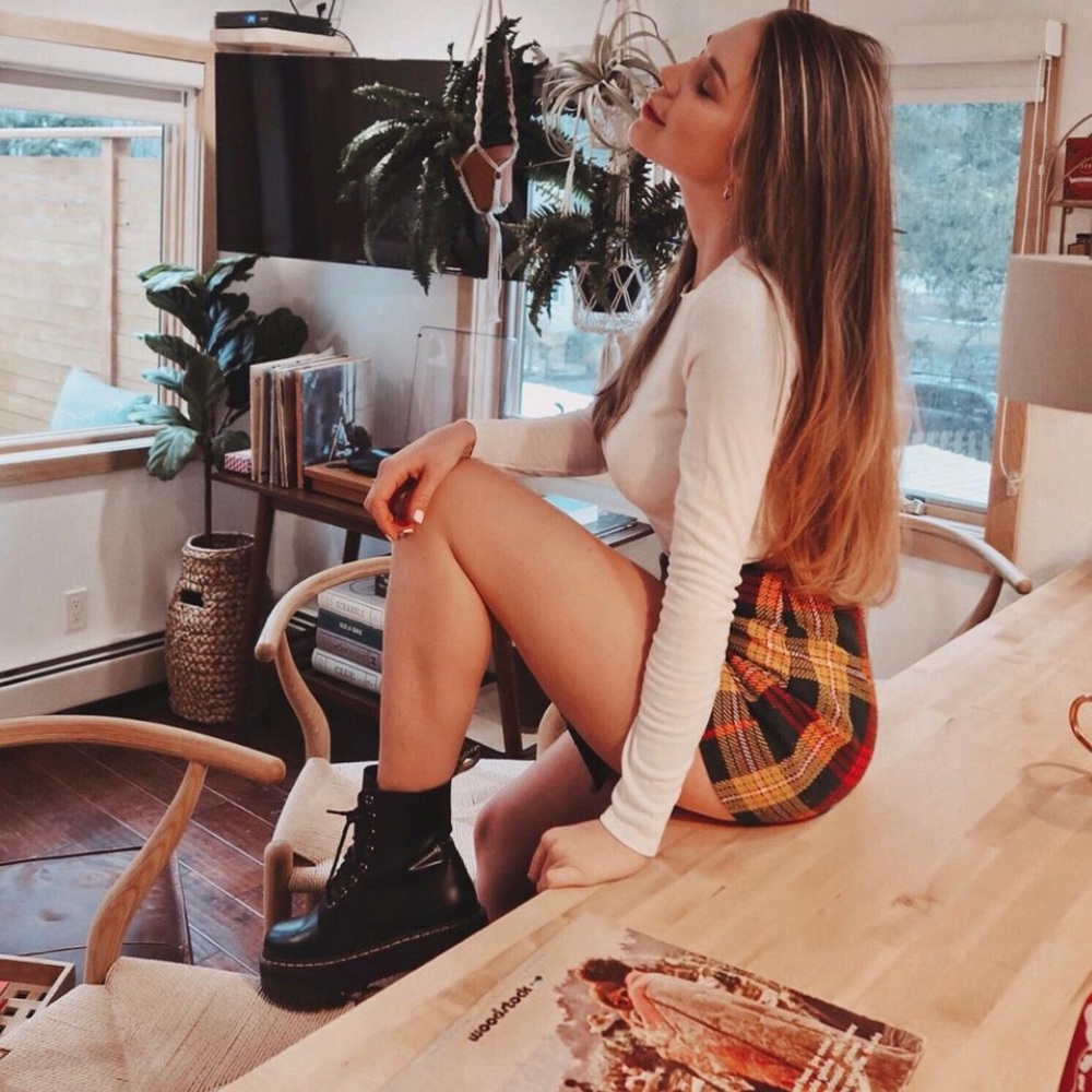 High waisted shorts/skirt